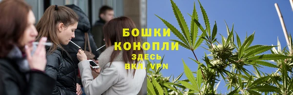 PSILOCYBIN Богданович