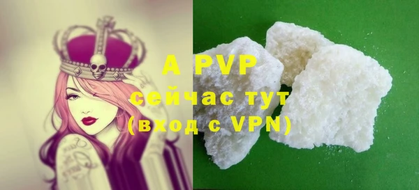 дмт Белокуриха