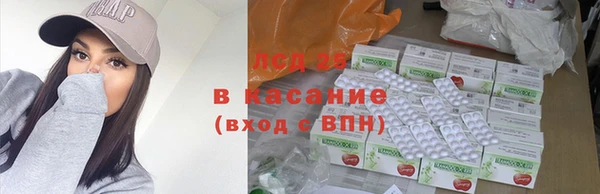 PSILOCYBIN Богданович