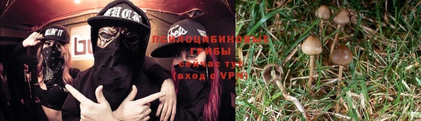гашик Богородицк